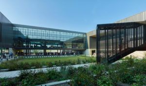 Fayetteville High School courtyard space with metal and glass materials landscaped with grass and flowers