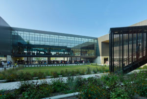 Fayetteville High School courtyard space with metal and glass materials landscaped with grass and flowers