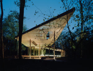 The low-slung form of the pavilion, bathed in dappled light, hovering above the forest floor, acts as an apparition in the woods