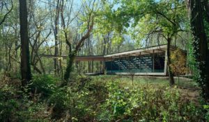 Daylight shine through the canopy to the wood and glass structure