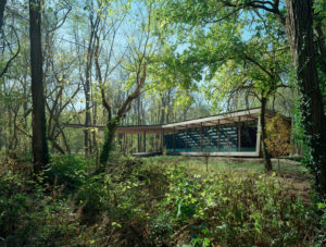 Daylight shine through the canopy to the wood and glass structure