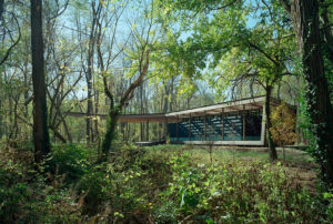 Daylight shine through the canopy to the wood and glass structure