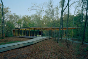 Indianapolis Museum of Art Visitors Pavilion seen in profile deep in the woods