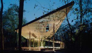 The low-slung form of the pavilion, bathed in dappled light, hovering above the forest floor, acts as an apparition in the woods