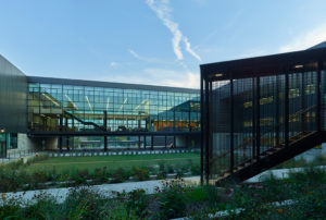 Fayetteville High School courtyard space with metal and glass materials landscaped with grass and flowers