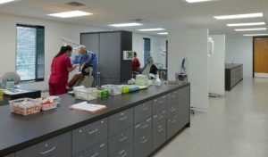 Dentists working in the space with clean white walls and bright lights