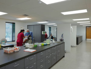 Dentists working in the space with clean white walls and bright lights