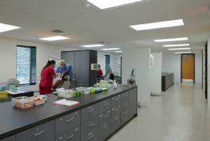 Dentists working in the space with clean white walls and bright lights
