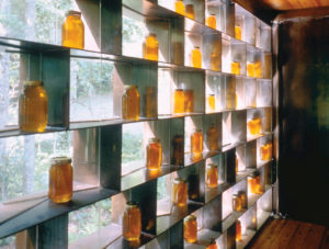 Moore HoneyHouse looking out the custom load bearing wall with units of honey looking out to the forest beyond