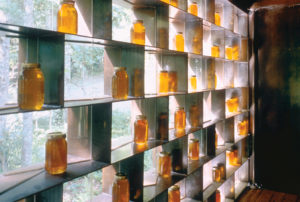 Moore HoneyHouse looking out the custom load bearing wall with units of honey looking out to the forest beyond