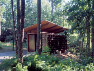 Wood and glass angled exterior deep in the woods