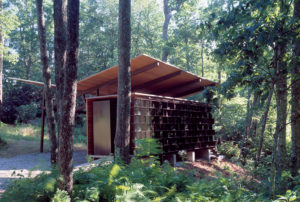 Wood and glass angled exterior deep in the woods