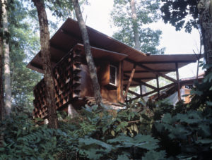 Steel and wood beams support a 'V' shaped roof above the unique looking building in the wood