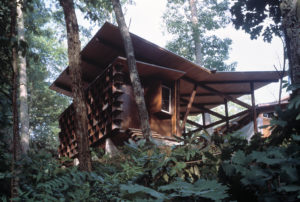 Steel and wood beams support a 'V' shaped roof above the unique looking building in the wood