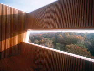 Keenan TowerHouse view from the top looking through cut out wooden beams looking into the forest far below