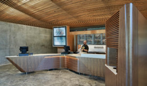 A restaurant worker at the checkout register surrounded in a room of concrete and wood overlooking the dining room