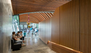 A shot of a hallway, one wall is concrete the other is wood below a beautiful wooden slat ceiling