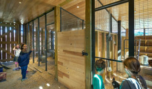 Children visiting the animal in Lamplighter Barn, a modern wooden space with hay and bedding in the animal habitats