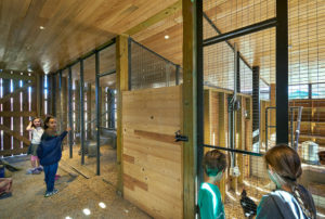 Children visiting the animal in Lamplighter Barn, a modern wooden space with hay and bedding in the animal habitats