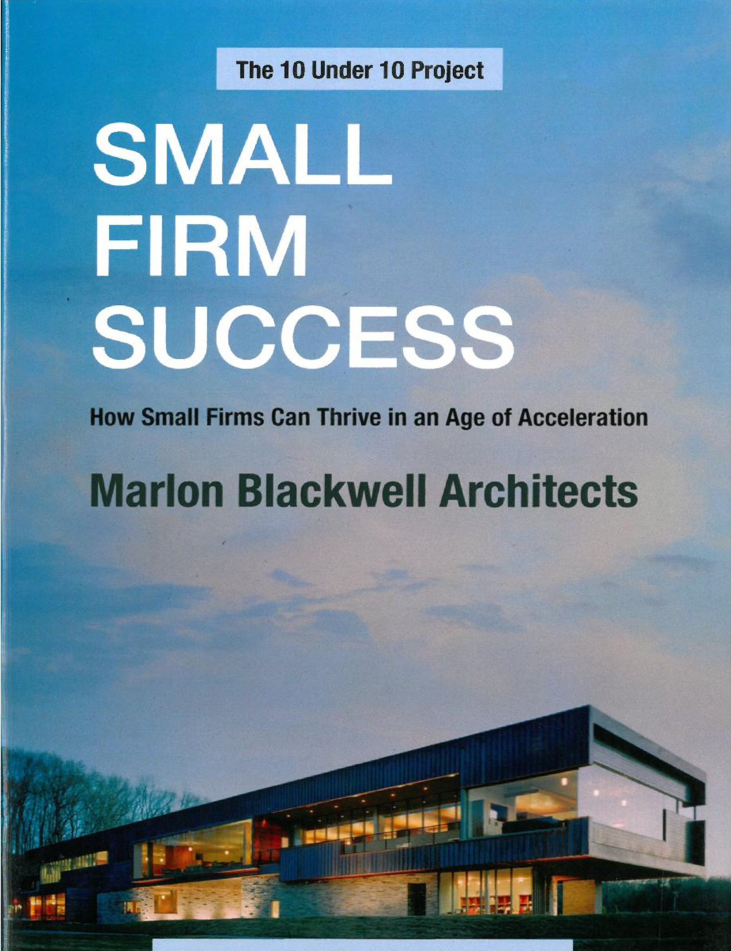 Cover image for the book Small Firm Success