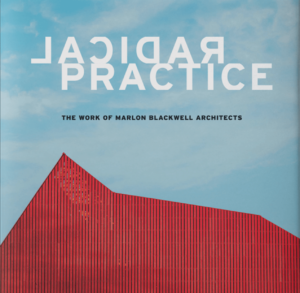 Radical Practice Book